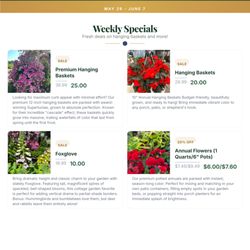 Madison Avenue Greenhouse - Sales Flyer
