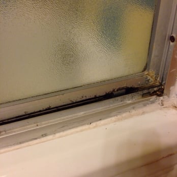 Hotel Mac Rae - Mold on shower door - Hotels Near Me - Avalon, California Hotel Mac Rae - Mold on shower door - Hotels Near Me - Avalon, California