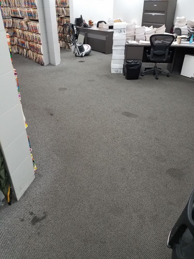 CRONAN CARPET CLEANING Updated August 2024 25 Reviews 66 Lycett