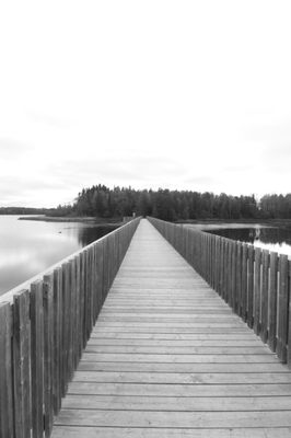 Island Lake Conservation Area by null