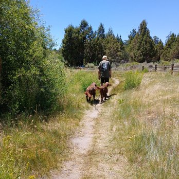 Big Bear Vacations - Sedona, Dave, and Saffron on the Lakeshore Trail. - Vacation Rentals Near Me - Big Bear Lake, California Big Bear Vacations - Sedona, Dave, and Saffron on the Lakeshore Trail. - Vacation Rentals Near Me - Big Bear Lake, California