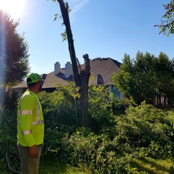 LR Tree Services - Tree Services Near Me - Garland, Texas