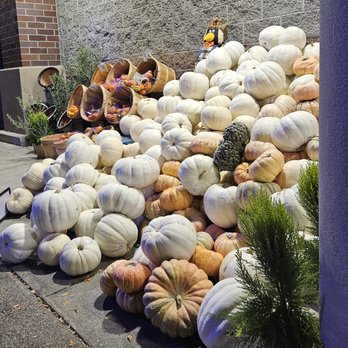 Safeway - 9/22/2024 - Great display of pumpkins but God forbid you as to use their bathroom!! - Grocery Near Me - Hillsboro, Oregon Safeway - 9/22/2024 - Great display of pumpkins but God forbid you as to use their bathroom!! - Grocery Near Me - Hillsboro, Oregon