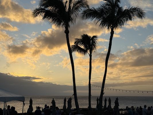 Merriman's Kapalua by null