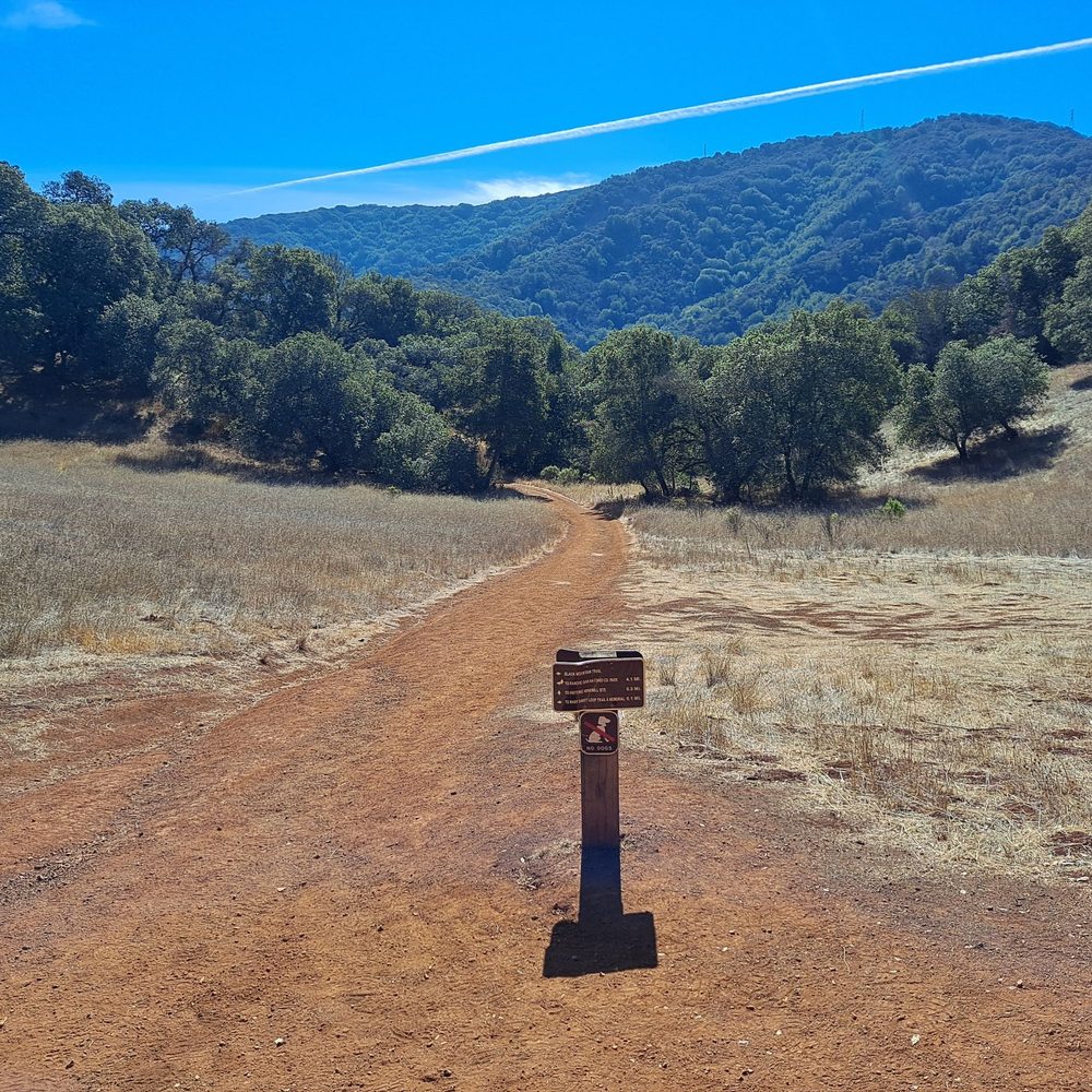 Black Mountain Trail - Hiking Near Me - Los Altos, California Black Mountain Trail - Hiking Near Me - Los Altos, California