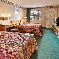 Standard Two Double Bed Room - 101