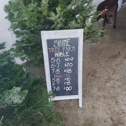 Shine Flower Farm