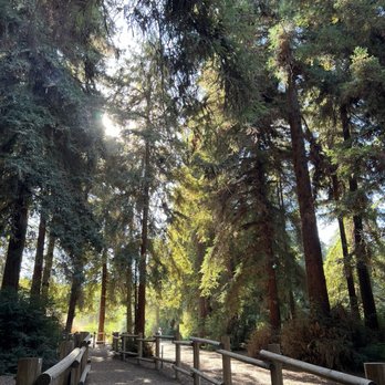 Carbon Canyon Regional Park - Parks Near Me - Brea, California
