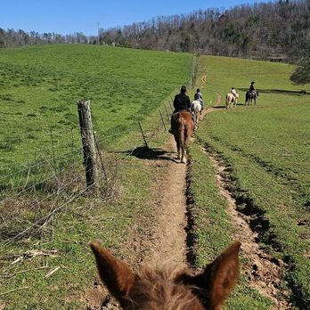 Cowgirl Up Stables - Getting on the trail - Horseback Riding Near Me - Cherry Log, Georgia