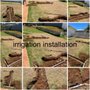 Photo of RA Landscaping & Yard Maintenance