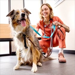 Banfield Pet Hospital