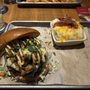 BJ's Restaurant & Brewhouse - New American Near Me - Citrus Park, Florida BJ's Restaurant & Brewhouse - New American Near Me - Citrus Park, Florida