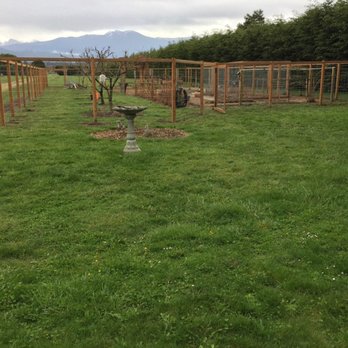 Sage Landscaping and Design - Finished product - Landscaping Near Me - Sequim, Washington