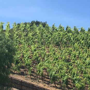 Artisan Excursion Wine Tours - Transportation Near Me Artisan Excursion Wine Tours - Transportation Near Me