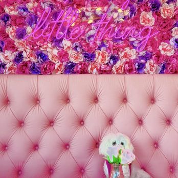 Pink Rose Cafe - Fendi beneath the 'Pretty Little Thing' neon wall decor with faux flowers - Coffee & Tea Near Me - San Diego, California