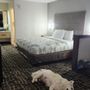 Photo of Motel 6