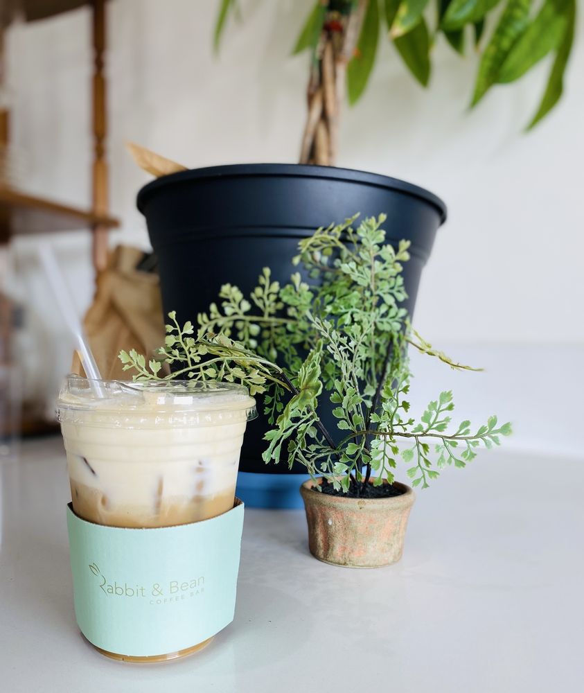 Rabbit & Bean Coffee Bar