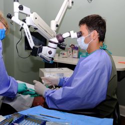 Marat Tselnik, DDS - Access Endodontics