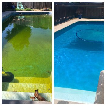 Vintage Pool Service & More - Our pool Thursday and our pool Sunday after Vintage Pool came to our rescue! - Pool Cleaners Near Me - Manteca, California Vintage Pool Service & More - Our pool Thursday and our pool Sunday after Vintage Pool came to our rescue! - Pool Cleaners Near Me - Manteca, California