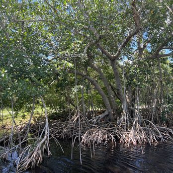 Flamingo Adventures - Boating Near Me - Homestead, Florida Flamingo Adventures - Boating Near Me - Homestead, Florida