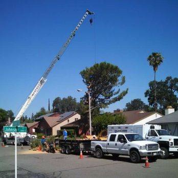 John Ayers Tree Surgeons - Tree Services Near Me - Visalia, California