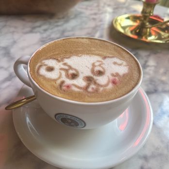 Moore Coffee Shop - Latte - Coffee & Tea Near Me - Seattle, Washington