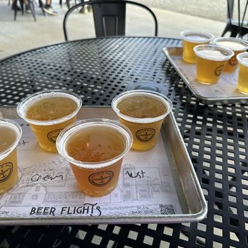 Flying Ace Farm - Breweries Near Me - Lovettsville, Virginia