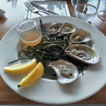 Rusty Pelican - Miami - Oysters - Seafood Near Me - Key Biscayne, Florida Rusty Pelican - Miami - Oysters - Seafood Near Me - Key Biscayne, Florida