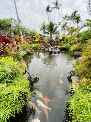 Napili Shores Maui by Outrigger by null