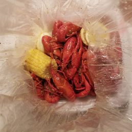 Mudbugs!! Mudbugs!!