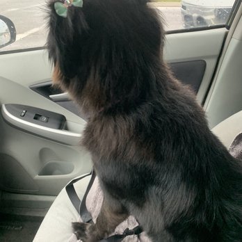 BARK on PARK - Bath And Tidy - Pet Stores Near Me - Jacksonville, Florida