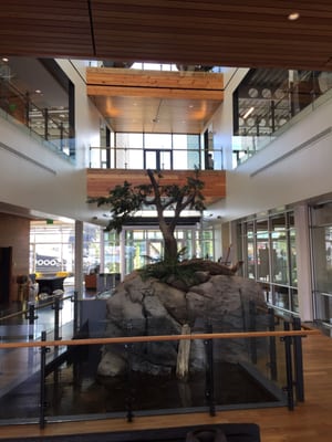 Harley Marine Services