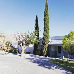 El Paso Arborists
