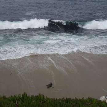 La Jolla Cove - lovely la jolla cove - Parks Near Me - La Jolla, California