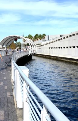 Tampa Riverwalk by null