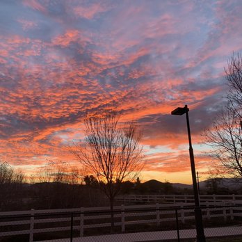Alderwood Dog Park - Dog Parks Near Me - Murrieta, California