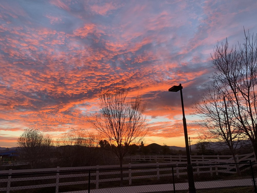 ALDERWOOD DOG PARK Updated August 2024 18 Photos & 11 Reviews