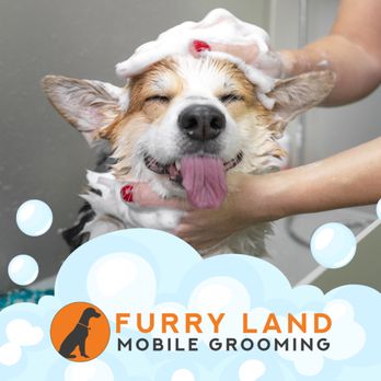 Furry Land Reno - Pet Groomers Near Me Furry Land Reno - Pet Groomers Near Me