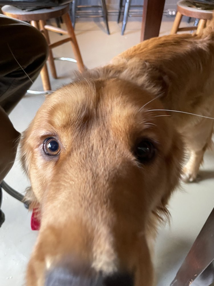 WEST LA BEER Updated July 2024 10 Photos 647 W Swanzey Rd