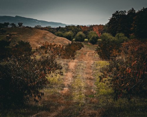 Wright's Farm by null