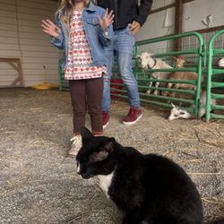 Heavenly Haven Farm - Petting zoo