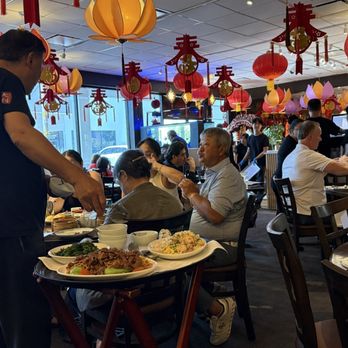 Tropical Chinese Restaurant - Serving a feast to a full table. - Dim Sum Near Me - Miami, Florida Tropical Chinese Restaurant - Serving a feast to a full table. - Dim Sum Near Me - Miami, Florida