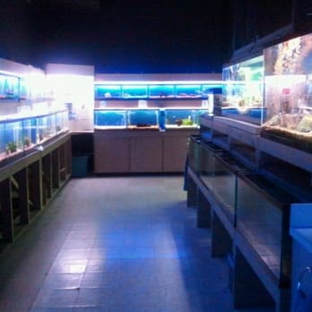Exotic Tropicals - Immaculate facility and tanks - Pet Stores Near Me - Cookeville, Tennessee Exotic Tropicals - Immaculate facility and tanks - Pet Stores Near Me - Cookeville, Tennessee