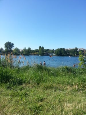Alte Donau by null
