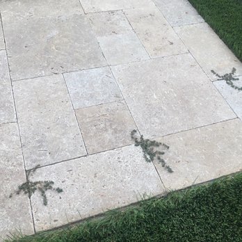 Premier Pools & Spas - Weeds growing through travertine - Hot Tub & Pool Near Me - Mesa, Arizona Premier Pools & Spas - Weeds growing through travertine - Hot Tub & Pool Near Me - Mesa, Arizona
