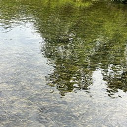 Clear water Clear water