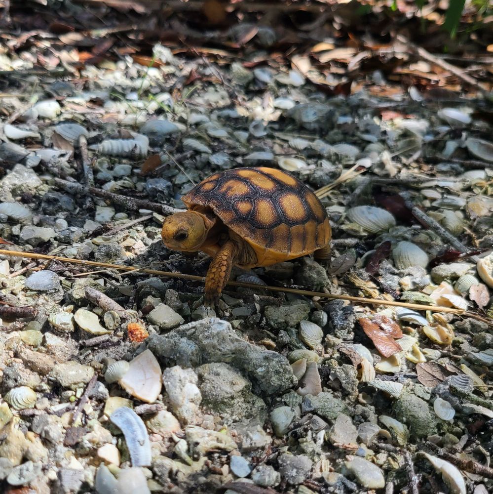 Charlotte Harbor Environmental Center Image