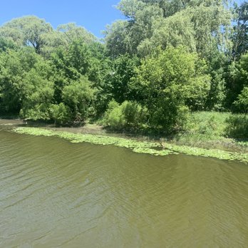 Bavarian Belle Riverboat - View of Cass River from the boat - Boat Tours Near Me - Frankenmuth, Michigan