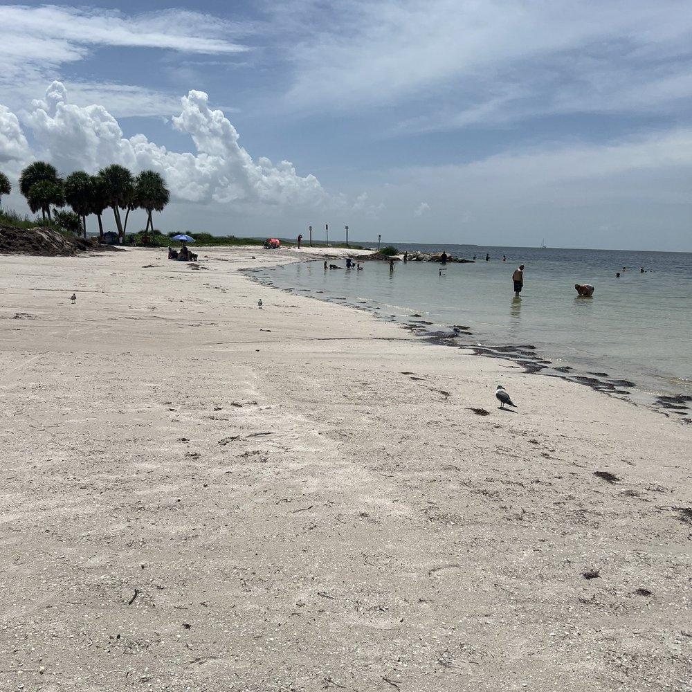 Fred Howard Park - Beach - Parks Near Me - Tarpon Springs, Florida Fred Howard Park - Beach - Parks Near Me - Tarpon Springs, Florida