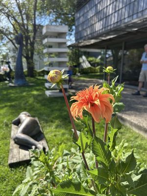 Provincetown Art Association and Museum (PAAM) by null